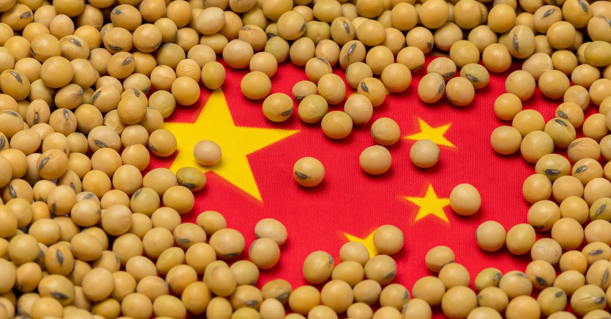 كيف يؤثر الأمن الغذائي في الصين على أسعار الغذاء العالمية