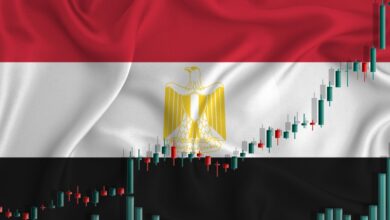 تعرف على أفضل الأسهم المصرية للاستثمار